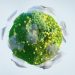 Numerous promising opportunities in Africa’s climate action