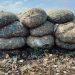 African digital innovators are turning plastic waste into value