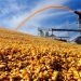 Taiwan’s MFIG buys about 55,000 tonnes corn from South Africa -traders