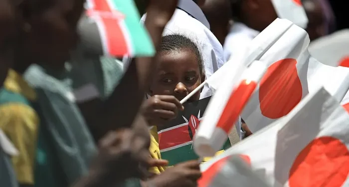 Japanese government urges private sector to ditch Africa caution