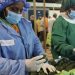 Kenya commences shipment of fresh avocados to Chinese market