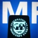 Zambia’s bondholders slam IMF debt relief targets as ‘arbitrary’