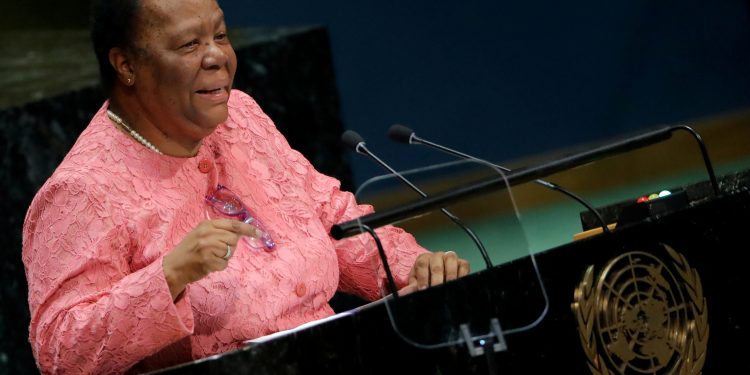 The world should attend to the marginalised: South African Minister