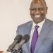 Kenya approves commercialisation of GMO maize