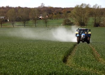 U.N. pushes for global fertiliser  price cut to avoid ‘future crisis’