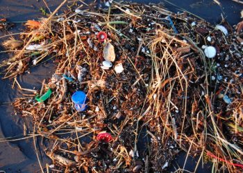 600 Million Metric Tons of Plastic May Fill Oceans by 2036 If We Don’t Act Now
