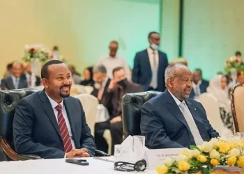 Ethiopia and Djibouti collaborate to strengthen electricity generation