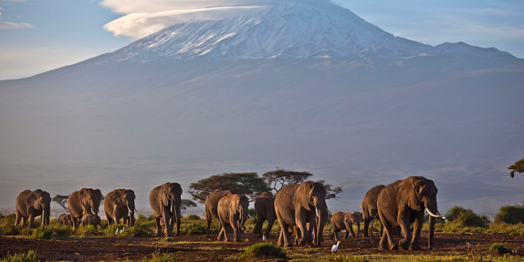 Financial pledges to Africa’s climate adaptation fall short