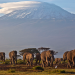 Financial pledges to Africa’s climate adaptation fall short
