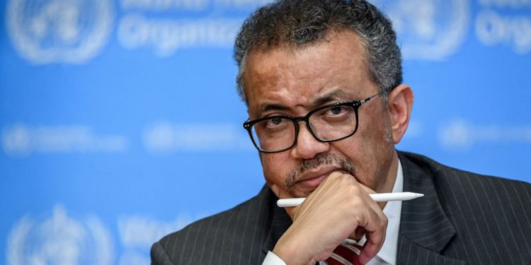 WHO chief urges focus on primary healthcare to achieve universal health coverage