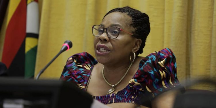 Zimbabwean Government says to grant citizenship to deserving investors