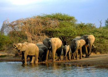 Namibia pushes to develop trans-border eco-tourism