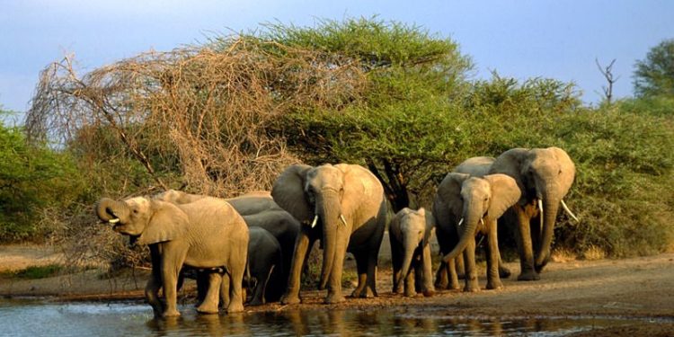 Namibia pushes to develop trans-border eco-tourism