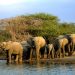 Namibia pushes to develop trans-border eco-tourism