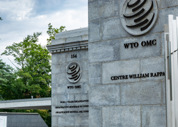 Why the WTO dispute on U.S. export restrictions matters?