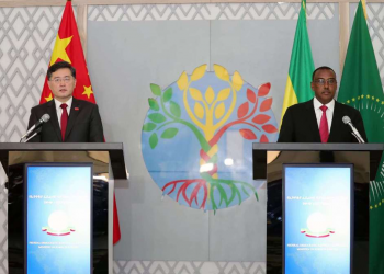 New Chinese FM visit to refresh Sino-African relations