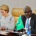 Europe Struggles to implement pledges made to Africa