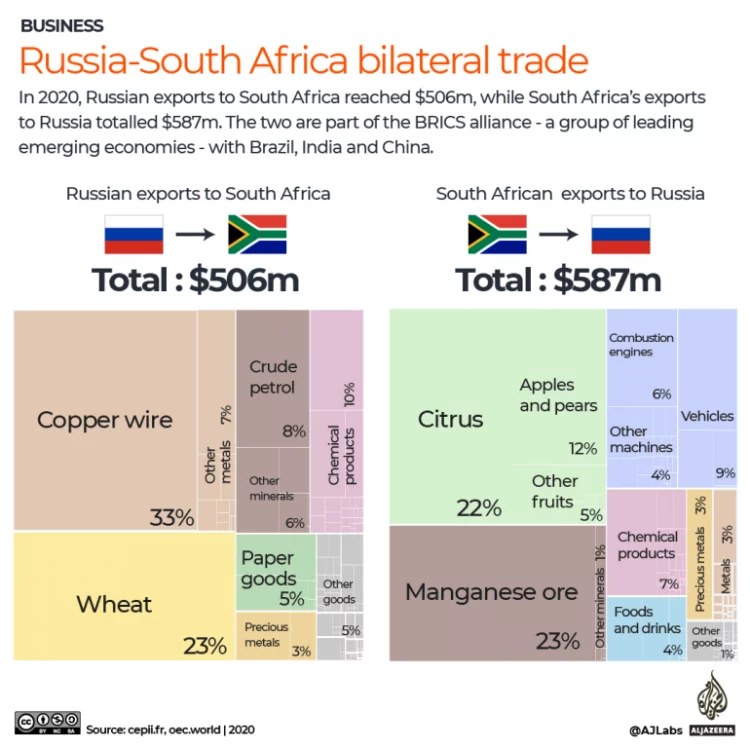 Why South Africa continues to be neutral in Ukraine-Russia war