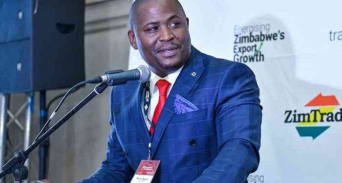 Roundup: Zimbabwe strives to expand exports amid encouraging results