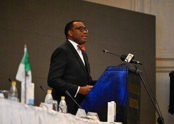 AfDB says sanctions worsen Zimbabwe’s external debt