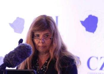 Zimbabwean Economy to maintain modest growth in 2023: World Bank