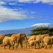 Foreign tourist arrivals up 57.7 pct in Tanzania in 2022