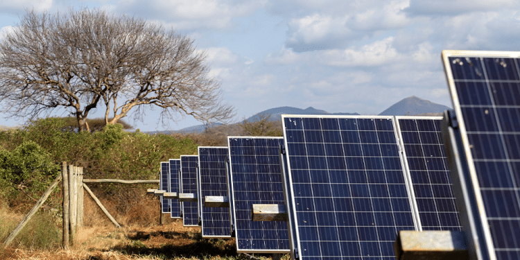 African countries are scaling up the fight against climate change