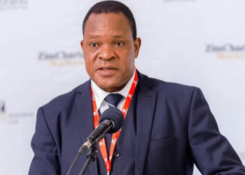 Zimbabwean president honors  agriculture minister after record wheat output