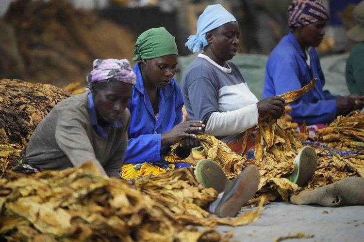 Rethinking debt sustainability in Africa (Part one)