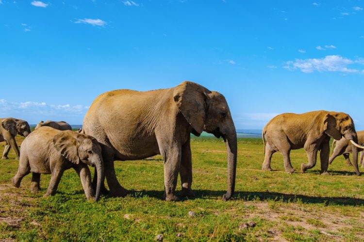 Africa Is Suited To A Wide Range Of Adventurers: Which One Are You?