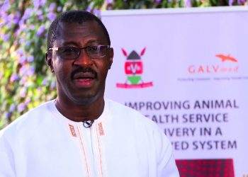 African campaigners call for greening poultry Value Chains