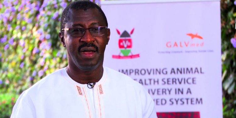 African campaigners call for greening poultry Value Chains