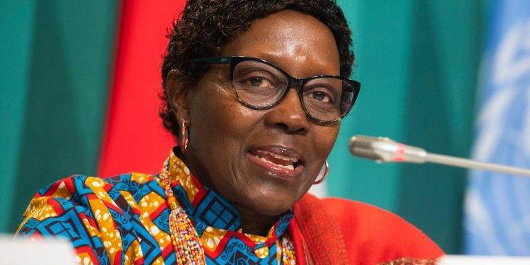 Africa has highest compliance rate with Paris Climate Agreement: UNEP