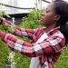 Nigerian Agribusiness Soupah Kitchen Drives Climate-Smart Adaptation in Africa