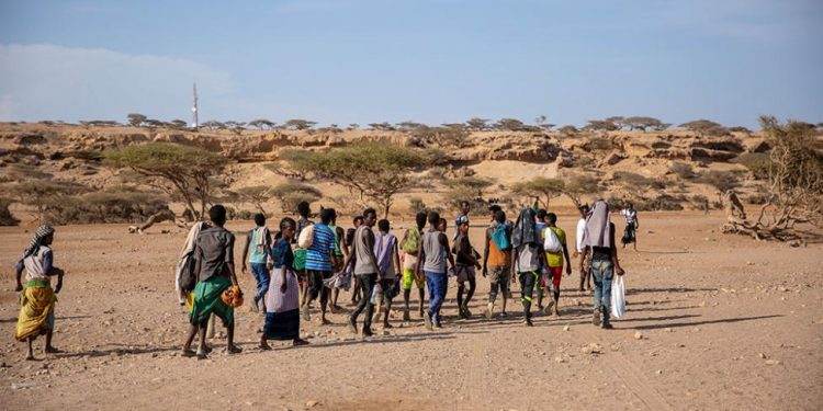 IOM Appeals for $58.5M to Aid Vulnerable Migrants on “Eastern Route