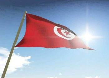 Tunisia Urges Diversification of Exports to Africa to Boost Trade Relations