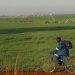 Private Sector Takes Leading Role in Funding Zimbabwe’s Wheat Crop