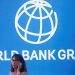 World Bank: Africa’s Natural Assets Can Unleash Dividends