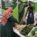 Boosting Avocado Exports: Kenya Focuses on China at Africa Avocado Congress