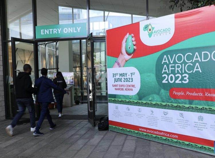 Boosting Avocado Exports: Kenya Focuses on China at Africa Avocado Congress