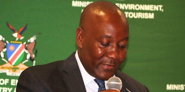 Namibia Adopts Carbon Markets Framework for Sustainable Development