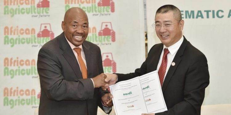 Botswana to introduce new drought-tolerant rice for modern agriculture