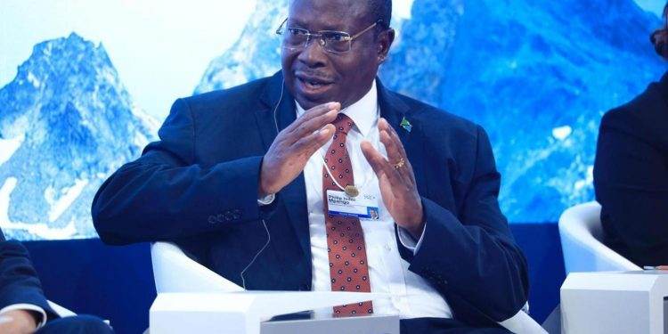 Tanzanian VP Urges Innovative Financing for Africa’s Human Capital