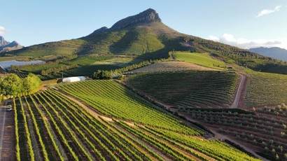 South Africa’s Wine Industry Hit by Energy Crisis and Load Shedding Woes