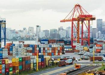 Biggest African Port to Be Partially Privatized