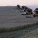 Russia Supplies Wheat to Mali Amid Geopolitical Shifts and Food Crisis