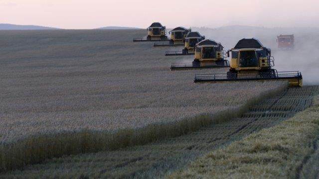 Russia Supplies Wheat to Mali Amid Geopolitical Shifts and Food Crisis