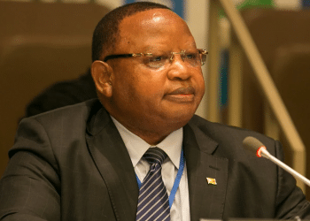 Zimbabwe Assures Transparent Elections, Welcomes Observers – Official
