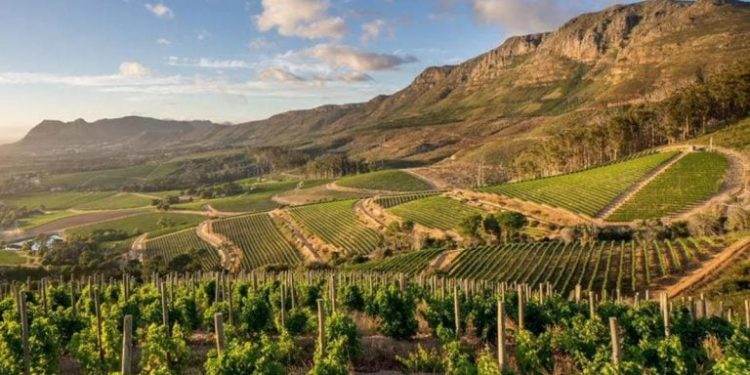 The best wine farms in South Africa