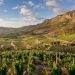 The best wine farms in South Africa